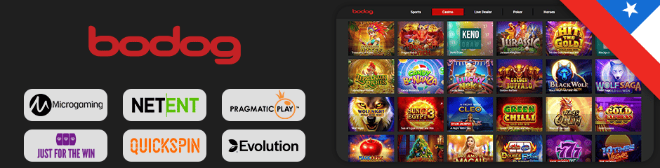 bodog casino juegos y software