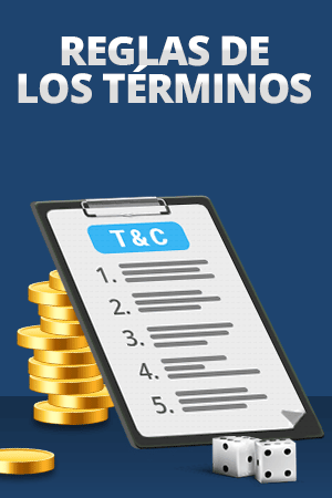 terminos y condiciones